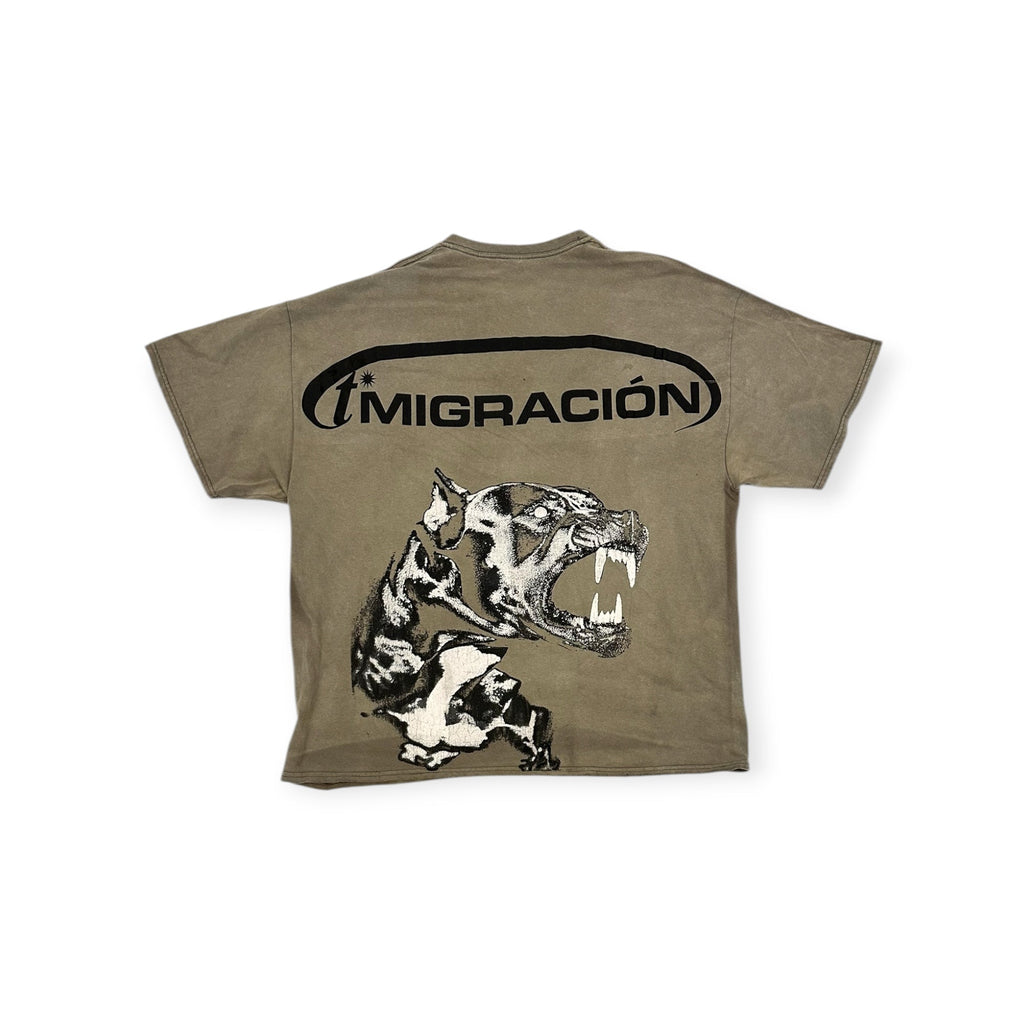 k (2XL)