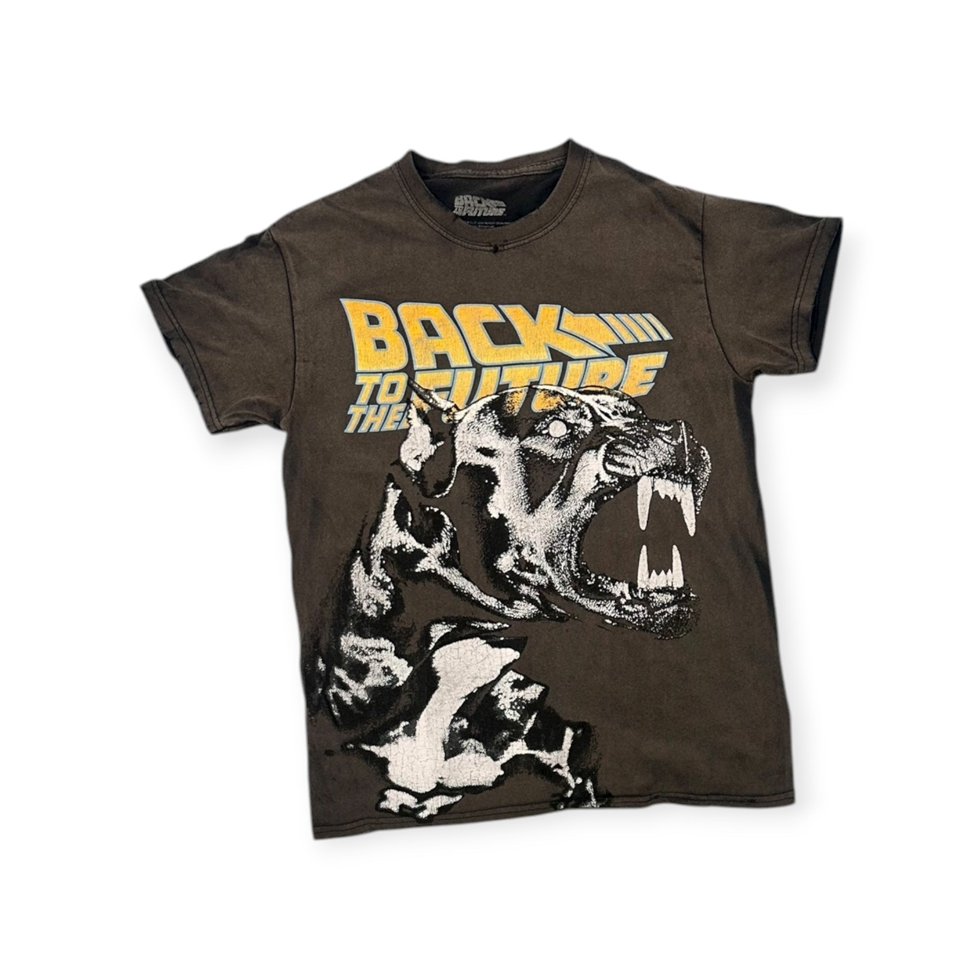 regreso al fiuchur (S)